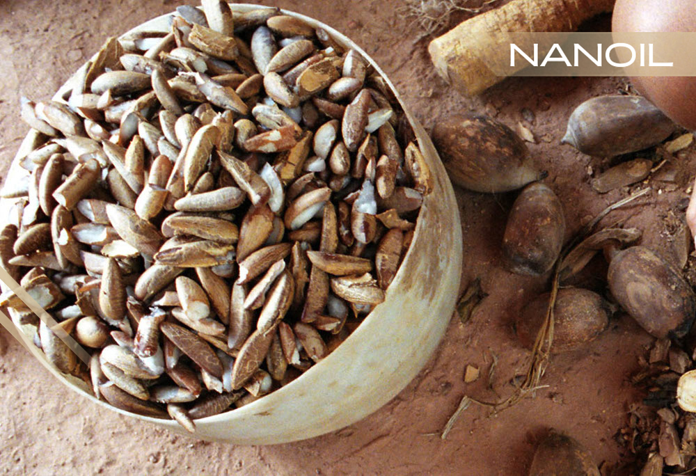 Babassuöl – Pflege der Haare mit geringer Porosität auf der höchsten Ebene