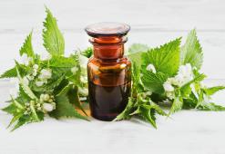 Haarwässer – beste hausgemachte Kosmetik